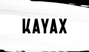 Main Partners of the PYD 7th edition: Kayax
